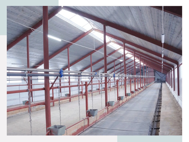 Строительство коровников в Новом Уренгое от 624 руб.