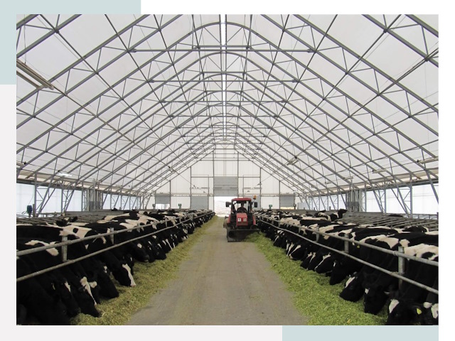 Тентовые коровники в Новом Уренгое от 624 руб. - Надежно и доступно