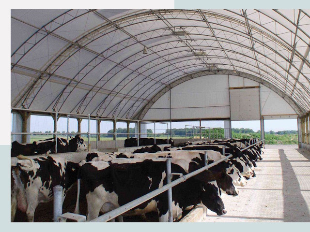 Тентовые коровники в Новом Уренгое